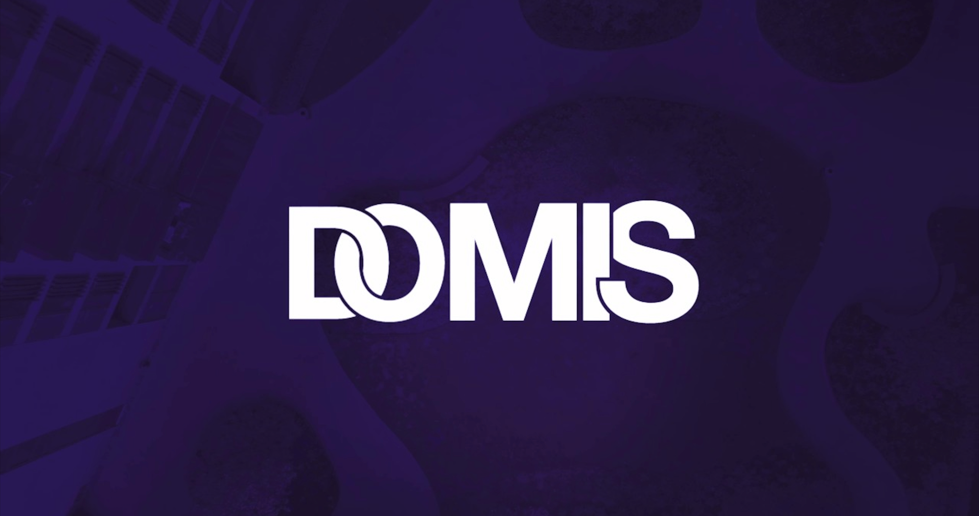 Domis Group-3